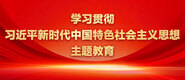 美女操鸡巴学习贯彻习近平新时代中国特色社会主义思想主题教育_fororder_ad-371X160(2)